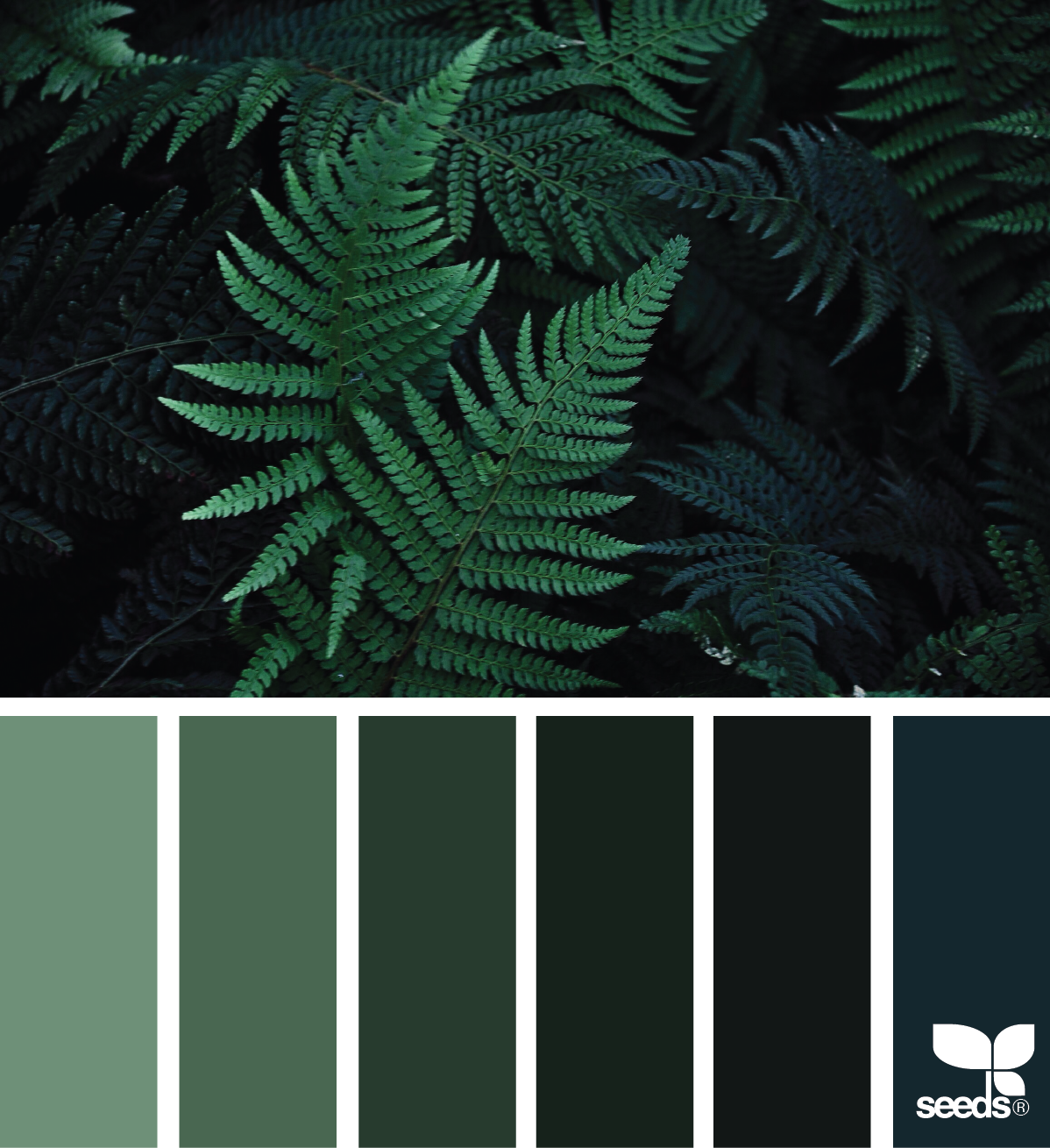Green is our favorite color