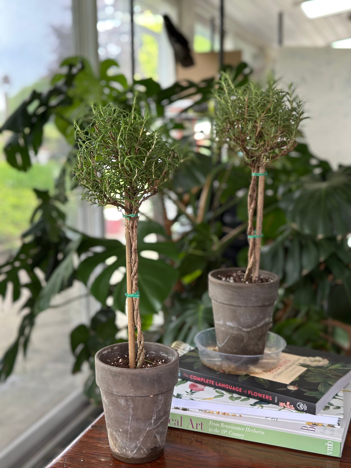 Decor