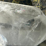 A close-up of a large clear quartz crystal point with visible internal inclusions and striations, photographed outdoors with sunlight and blurred green plant stems in the background.