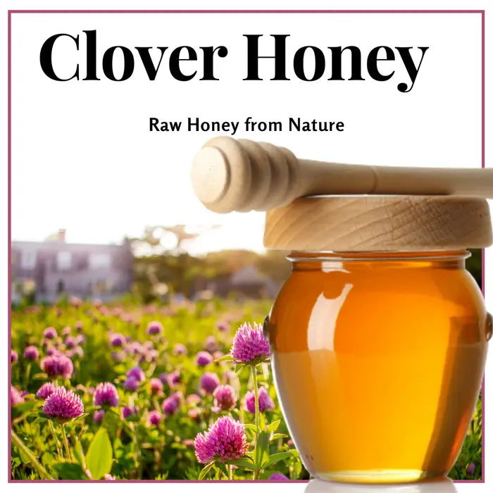 Honey - Clover Raw Unfiltered