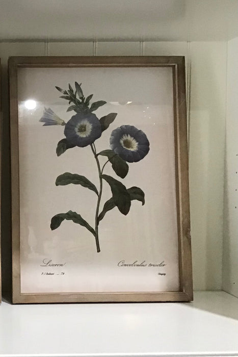 Blue Botanical Framed Prints, 4 Assorted Styles