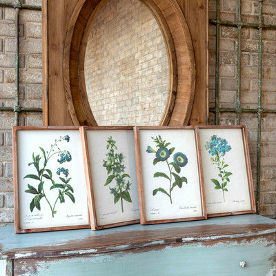 Blue Botanical Framed Prints, 4 Assorted Styles